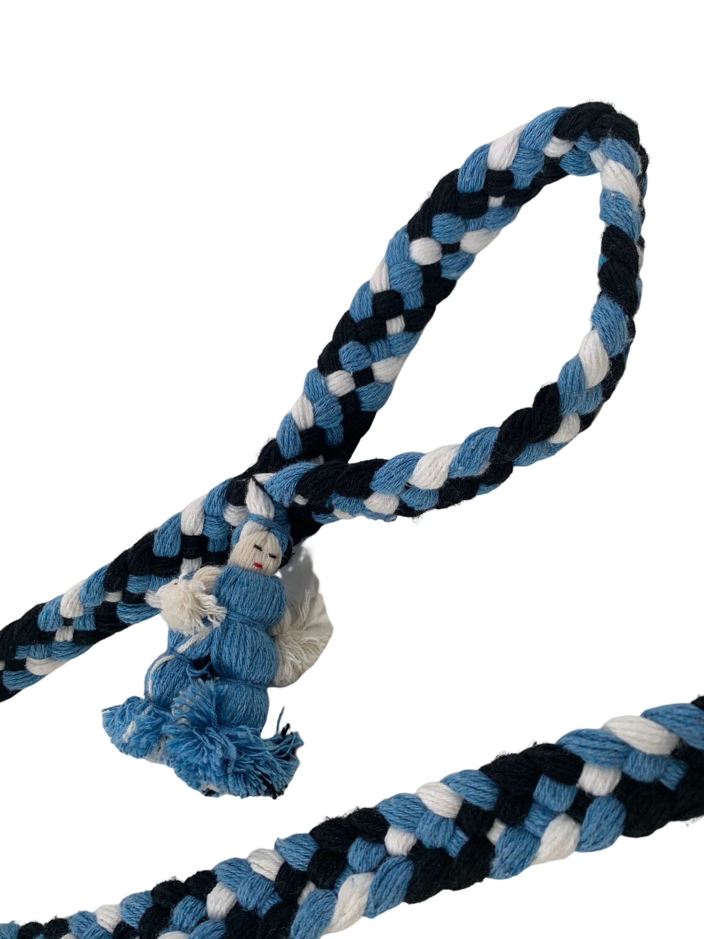 Braided Dog leash