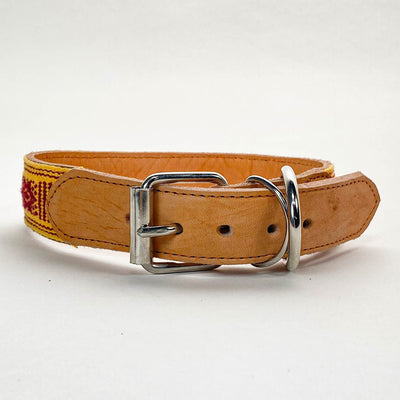 Dog Collar