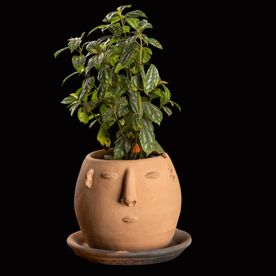 Atzompa Clay Planter with Base Plate "Doña Clara"